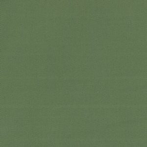 Lima Sprout by Norbar Fabric See Sample 100% COMBED COTTON TURKEY 10,000 WYZENBEEK 54 - Fabric Carolina -