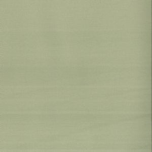Lima Willow by Norbar Fabric See Sample 100% COMBED COTTON TURKEY 10,000 WYZENBEEK 54 - Fabric Carolina -
