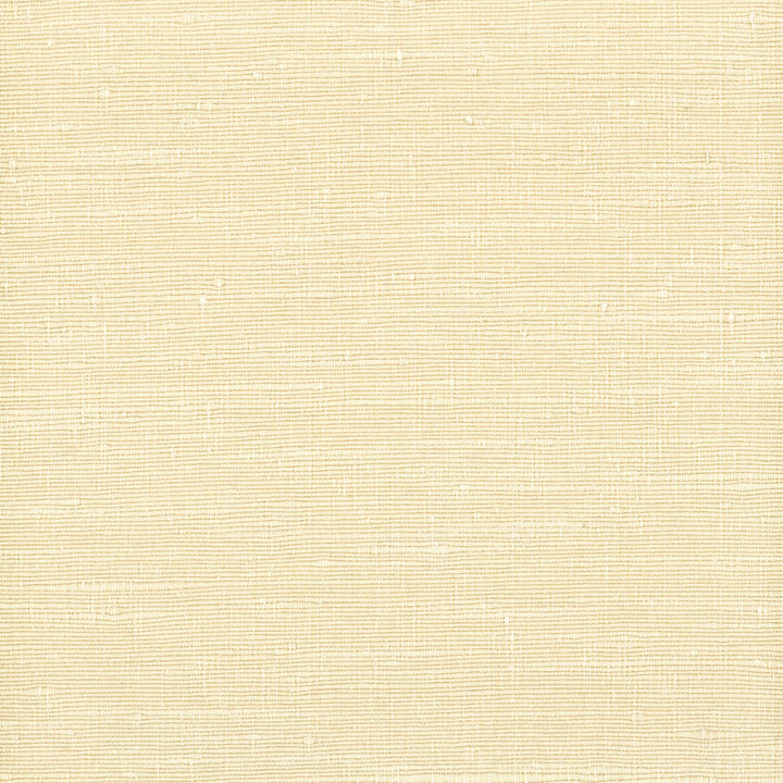 Lipari 10 Chardonnay by Stout Fabric MYTH DRAPERY FR TEXTURES 100%POL INDIA FLAME RETARDANT-N.F.P.A. 701 SMALL SCALE Horizontal: 0 and Vertical: 0 54 in - Fabric Carolina -