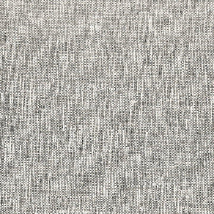 Lipari 15 Silver by Stout Fabric MYTH DRAPERY FR TEXTURES 100%POL INDIA FLAME RETARDANT-N.F.P.A. 701 SMALL SCALE Horizontal: 0 and Vertical: 0 54 in - Fabric Carolina -