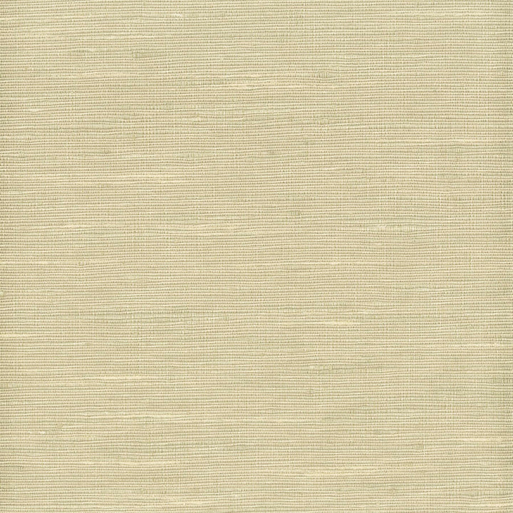 Lipari 17 Putty by Stout Fabric Myth Drapery Fr Textures 100% Polyester INDIA FLAME RETARDANT-N.F.P.A. 701 SMALL SCALE Horizontal: 0 and Vertical: 0 54 in - Fabric Carolina -