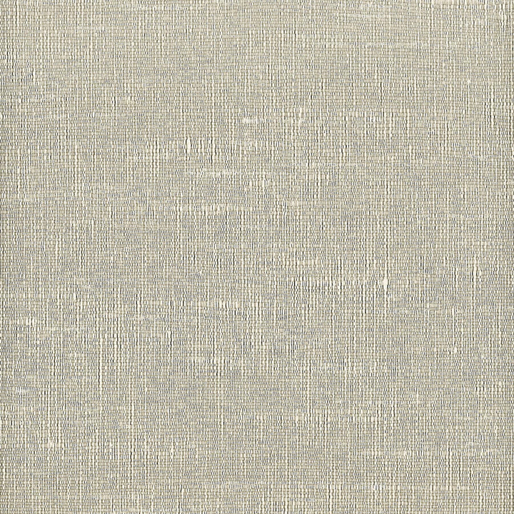 Lipari 19 Fog by Stout Fabric MYTH DRAPERY FR TEXTURES 100%POL INDIA FLAME RETARDANT-N.F.P.A. 701 SMALL SCALE Horizontal: 0 and Vertical: 0 54 in - Fabric Carolina -