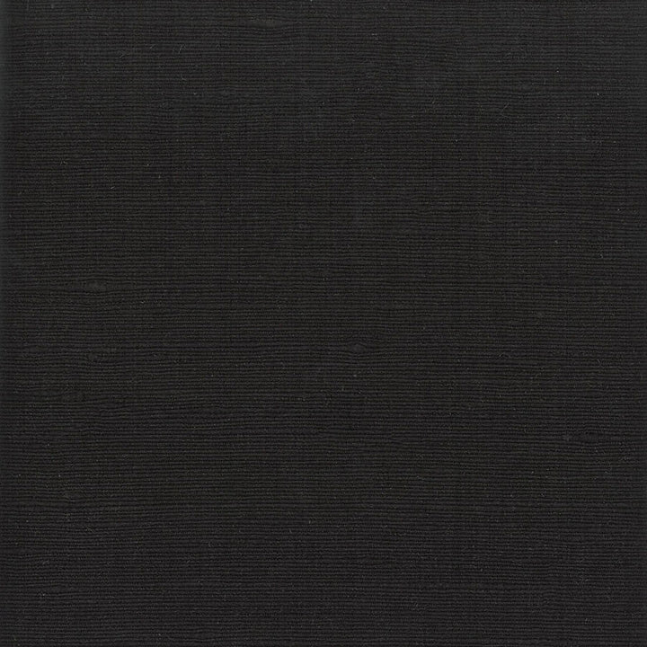 Lipari 7 Coal by Stout Fabric MYTH DRAPERY FR TEXTURES 100%POL INDIA FLAME RETARDANT-N.F.P.A. 701 SMALL SCALE Horizontal: 0 and Vertical: 0 54 in - Fabric Carolina -