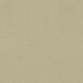 Litestar Sand by Kravet Design Fabric - NYLON - 100% United States HEAVY Horizontal: 0 and Vertical: 0 54 - Fabric Carolina -