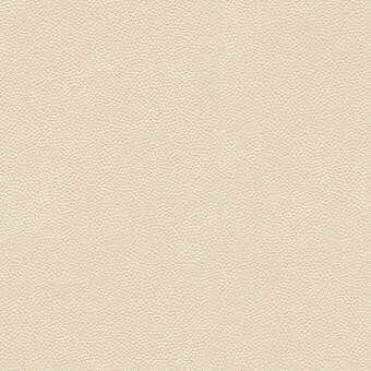 Kravet Design Litestar-1 by Kravet Design Fabric Kravet Design Fabric Kravet Design Litestar-1Fabric NYLON - 100% United States </p><p>Repeat: H: 0, V: 0 54 - Fabric Carolina -