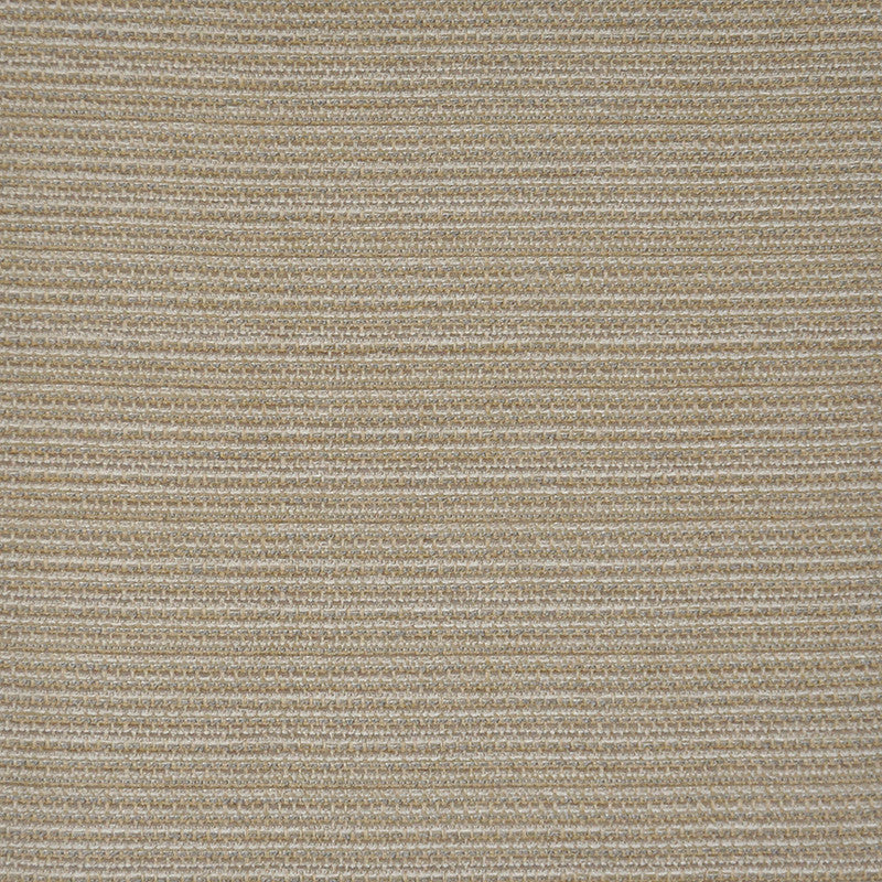 Layers # 425 Basket by Maxwell Fabric PERFORMANCE WOVENS-VOL.I WHITE SAND 53% COTTON 46% RAYON
1% NYLON USA </p><p>Repeat: Horizontal: H-0.25 and Vertical: V-0.25 58" - Fabric Carolina -