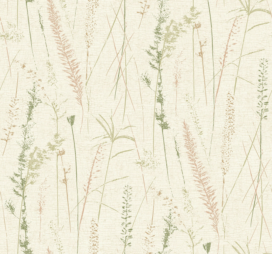 Meadow Splendor Salmon Botanical Wallpaper by Antonina Vella Designer