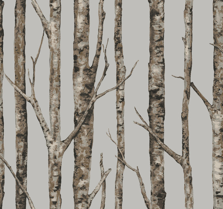 The Birches Silver Grey & Taupe Wallpaper by York Wallcoverings Urban Retreat Covers about 60.8 square feet 27-in by 27-ft long roll Unpasted 25.25 - Fabric Carolina -