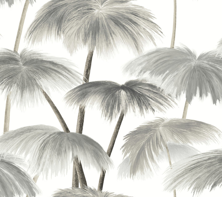 Plein Air Palms Black & White Wallpaper by Lemieux et Cie Lemieux et Cie Signature Covers about 60.8 square feet 27-in by 27-ft long roll Unpasted 24 - Fabric Carolina -