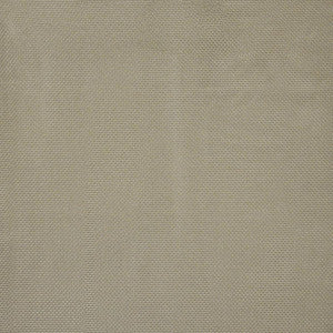 Lenny # 39 Chinchilla by Maxwell Fabric