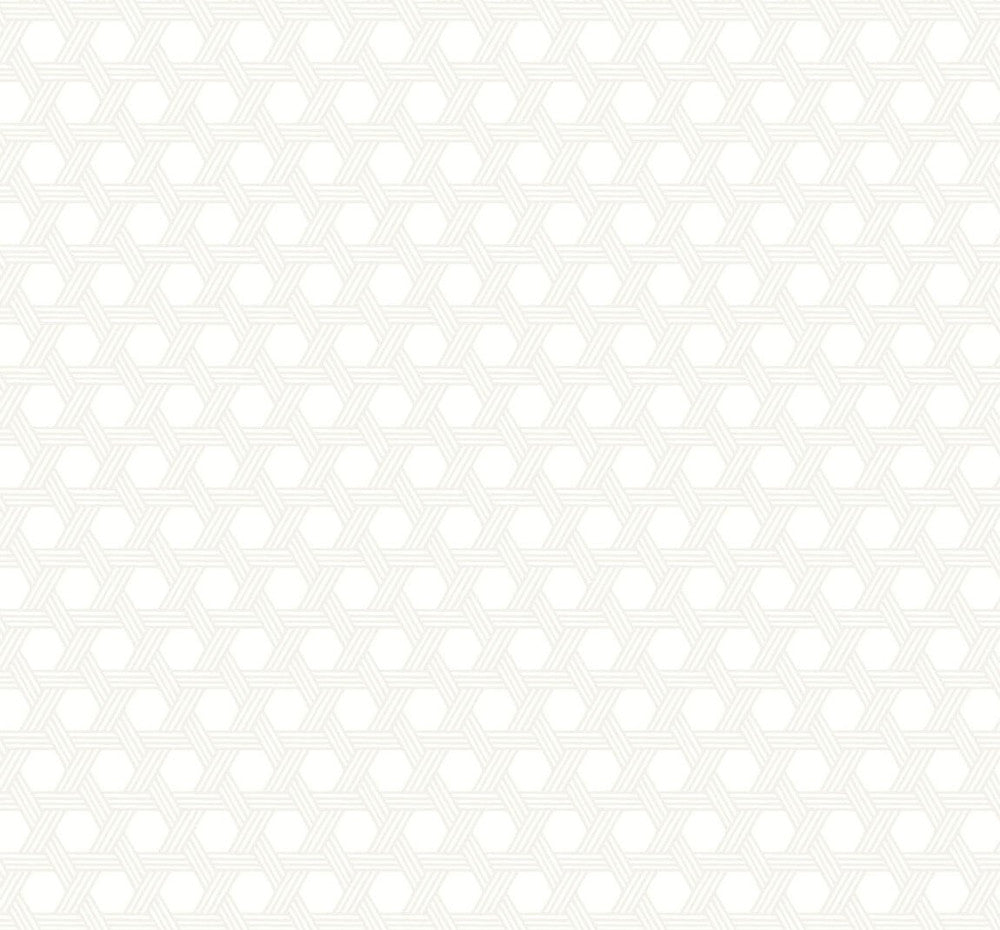 Cabana Wicker Gray and Eggshell by Seabrook Wallpaper Luxe Retreat United States 60.53 3.15" 27" - Fabric Carolina -