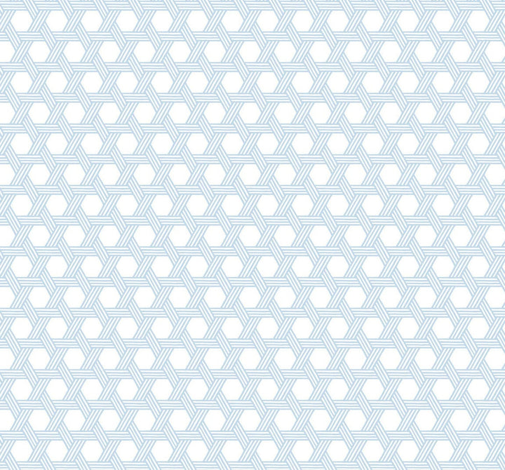 Cabana Wicker Carolina Blue and Eggshell by Seabrook Wallpaper Luxe Retreat United States 60.53 3.15" 27" - Fabric Carolina -