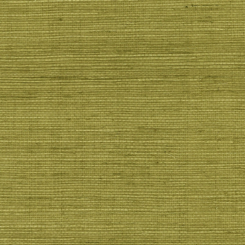 Sisal Grasscloth Olive by Seabrook Wallpaper Luxe Retreat China 72 0" 36" - Fabric Carolina -