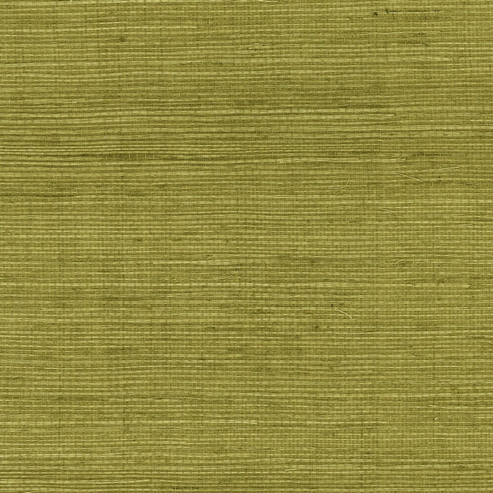 Sisal Grasscloth Olive by Seabrook Wallpaper Luxe Retreat China 72 0" 36" - Fabric Carolina -