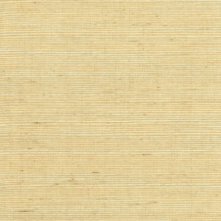 Sisal Grasscloth Desert Limestone by Seabrook Wallpaper Luxe Retreat China 72 0" 36" - Fabric Carolina -