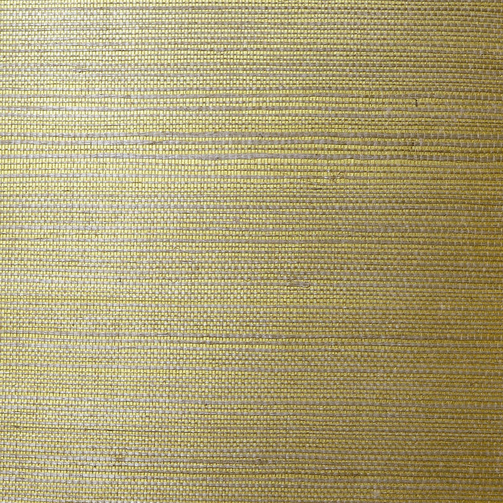 Sisal Grasscloth Metallic Gold and Aloe by Seabrook Wallpaper Luxe Retreat China 72 0" 36" - Fabric Carolina -