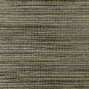 Sisal Serpentine by Seabrook Wallpaper