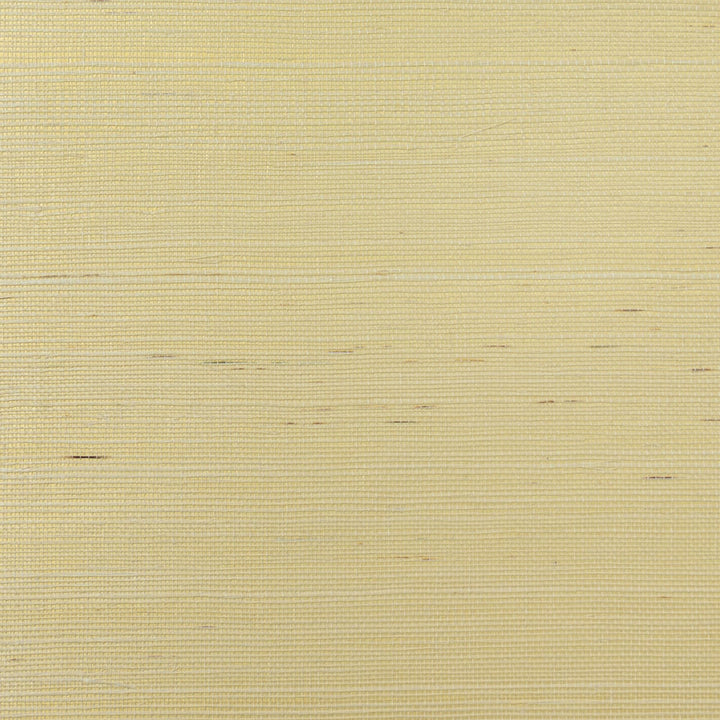 Sisal Ivory & Metallic Gold by Seabrook Wallpaper Lillian August Grasscloth Binder China 72 0" 36" - Fabric Carolina -