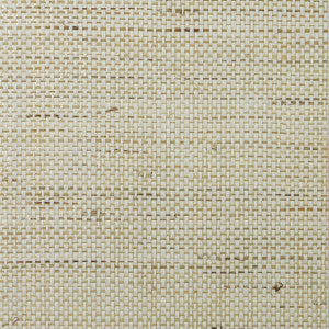 Paperweave and Ramie Sandy Shores & Gold by Seabrook Wallpaper