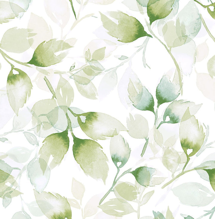 Watercolor Tossed Leaves Green Ivy by Seabrook Wallpaper Lillian August Peel and Stick United States 30.75 20.87" 20.5" - Fabric Carolina -