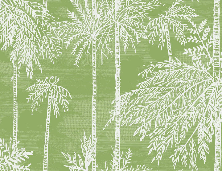 Palm Grove Summer Fern by Seabrook Wallpaper Coastal Haven United States 60.75 20.87" 27" - Fabric Carolina -