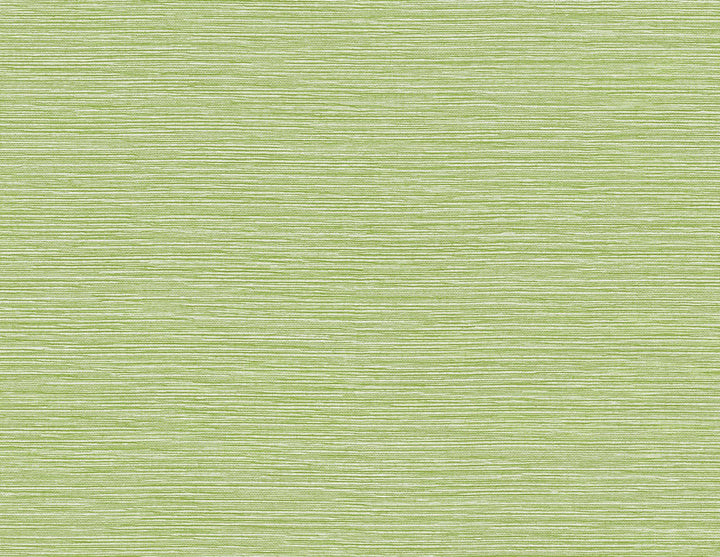 Tiger Island Faux Sisal Meadow by Seabrook Wallpaper Coastal Haven United States 60.75 0" 27" - Fabric Carolina -