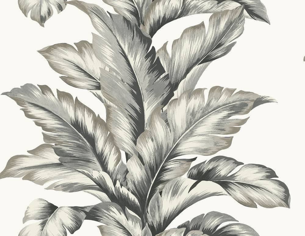Banana Springs Greystone by Seabrook Wallpaper Coastal Haven United States 60.75 20.87" 27" - Fabric Carolina -