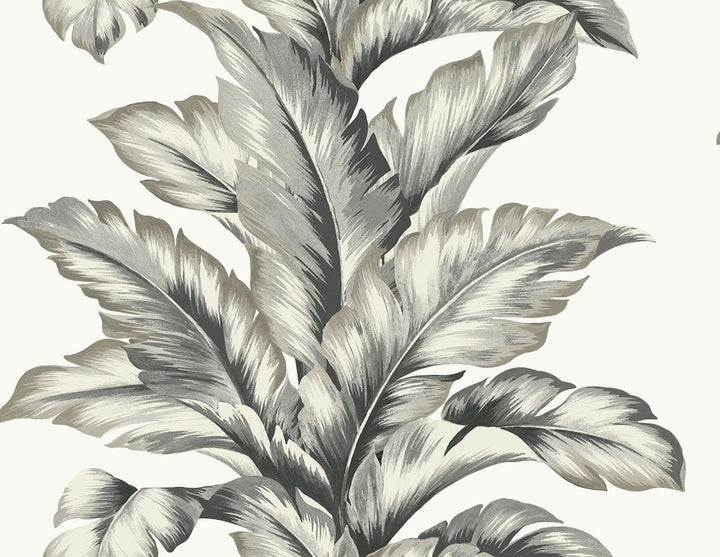 Banana Springs Greystone by Seabrook Wallpaper Coastal Haven United States 60.75 20.87" 27" - Fabric Carolina -