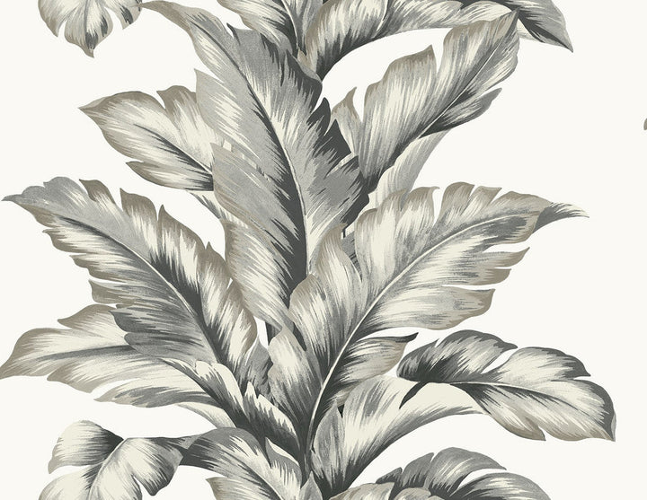 Banana Springs Greystone LN40600 by Lillian August Designer Wallpaper