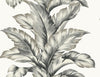 Banana Springs Greystone LN40600 by Lillian August Wallpaper