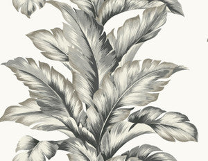Banana Springs Greystone by Seabrook Wallpaper