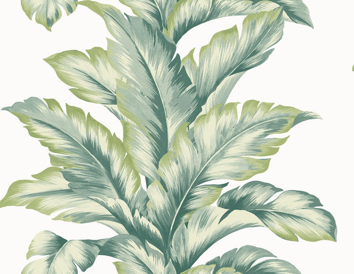 Banana Springs Rivercrest by Seabrook Wallpaper Coastal Haven United States 60.75 20.87" 27" - Fabric Carolina -