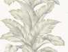 Banana Springs Fieldstone LN40607 by Lillian August Wallpaper