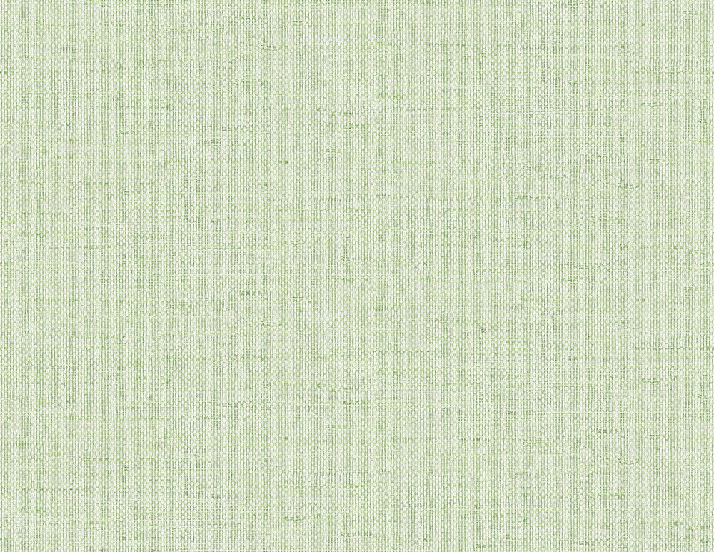 Kaya Faux Paperweave Meadow by Seabrook Wallpaper Coastal Haven United States 60.75 0" 27" - Fabric Carolina -