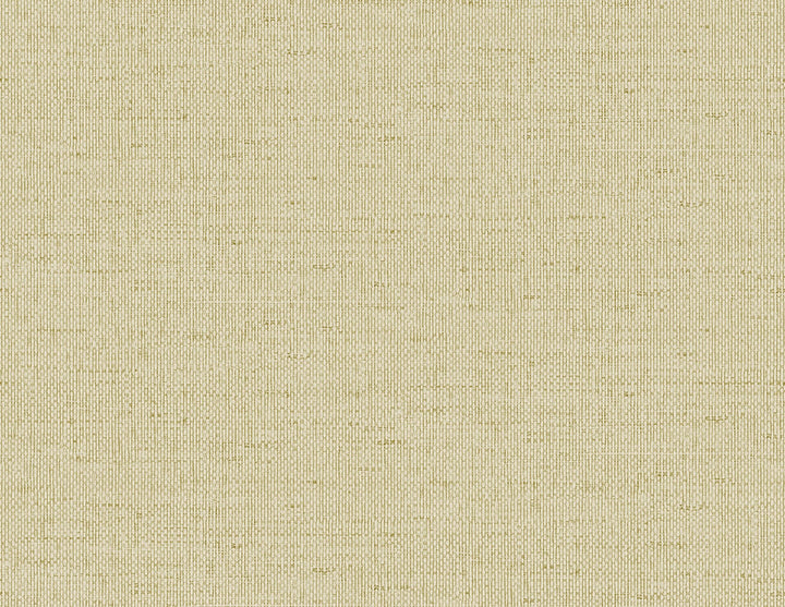 Kaya Faux Paperweave Chamomile by Seabrook Wallpaper Coastal Haven United States 60.75 0" 27" - Fabric Carolina -