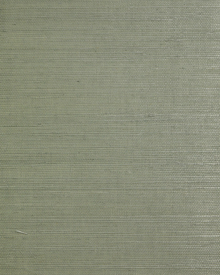 Regular Weave Sisal Sage by Seabrook Wallpaper Lillian August Natural Textured Wallcoverings 2 China 72 0" 36" - Fabric Carolina -