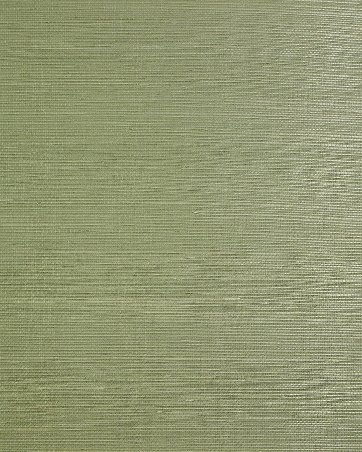 Sisal Jade by Seabrook Wallpaper Lillian August Natural Textured Wallcoverings 2 China 72 0" 36" - Fabric Carolina -