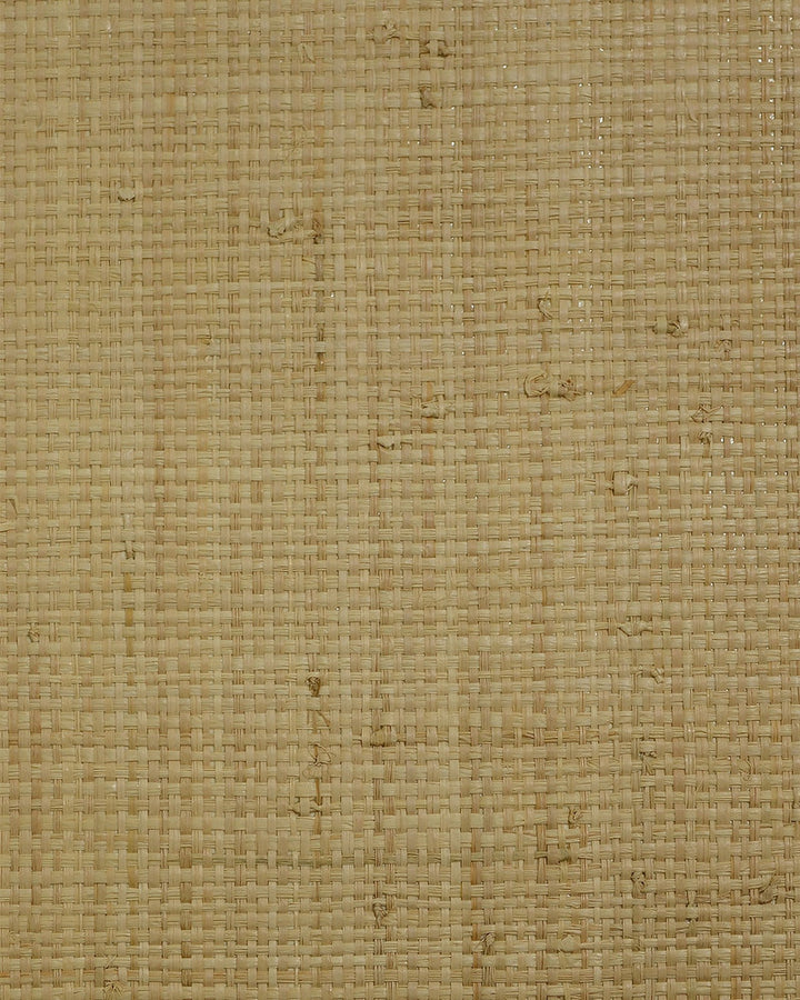 Raffia (100%) Tan by Seabrook Wallpaper Lillian August Natural Textured Wallcoverings 2 South Korea 72 0" 36" - Fabric Carolina -