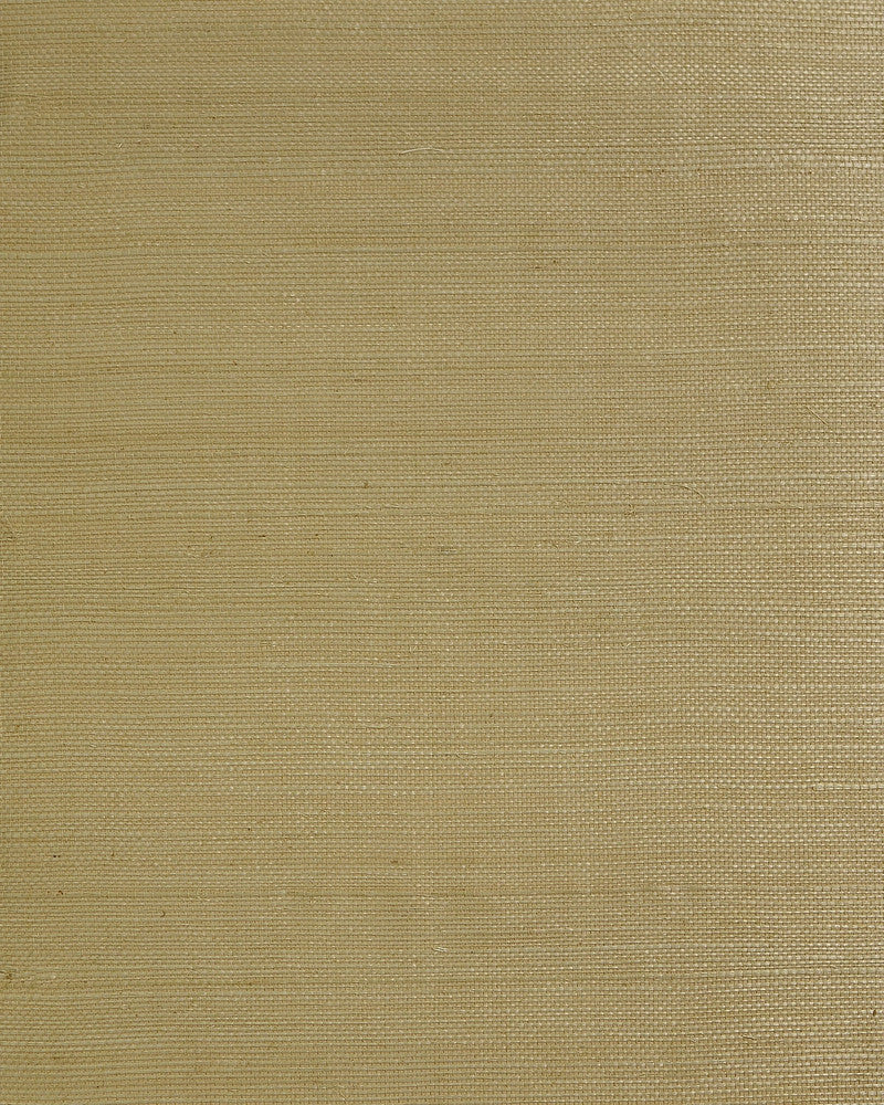 Regular Weave Sisal Café by Seabrook Wallpaper Lillian August Natural Textured Wallcoverings 2 China 72 0" 36" - Fabric Carolina -