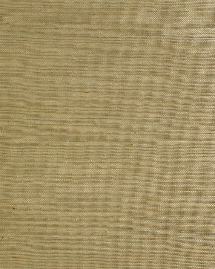 Regular Weave Sisal Café by Seabrook Wallpaper Lillian August Natural Textured Wallcoverings 2 China 72 0" 36" - Fabric Carolina -