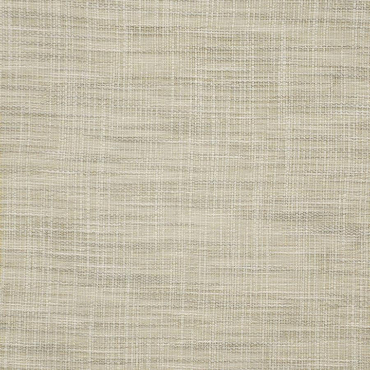 Luke # 132 Sandstone by Maxwell Designer Fabric Pure & Simple Ix 100% POLYESTER INDIA 54" - Swanky Fabrics -