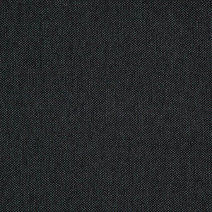 Light Year # 204 Caviar by Maxwell Fabric