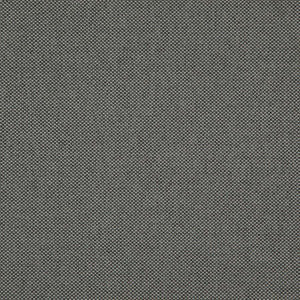 Light Year # 206 Graphite by Maxwell Fabric