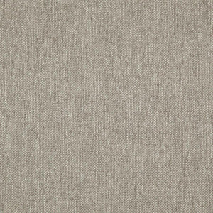 Light Year # 208 Bamboo by Maxwell Fabric
