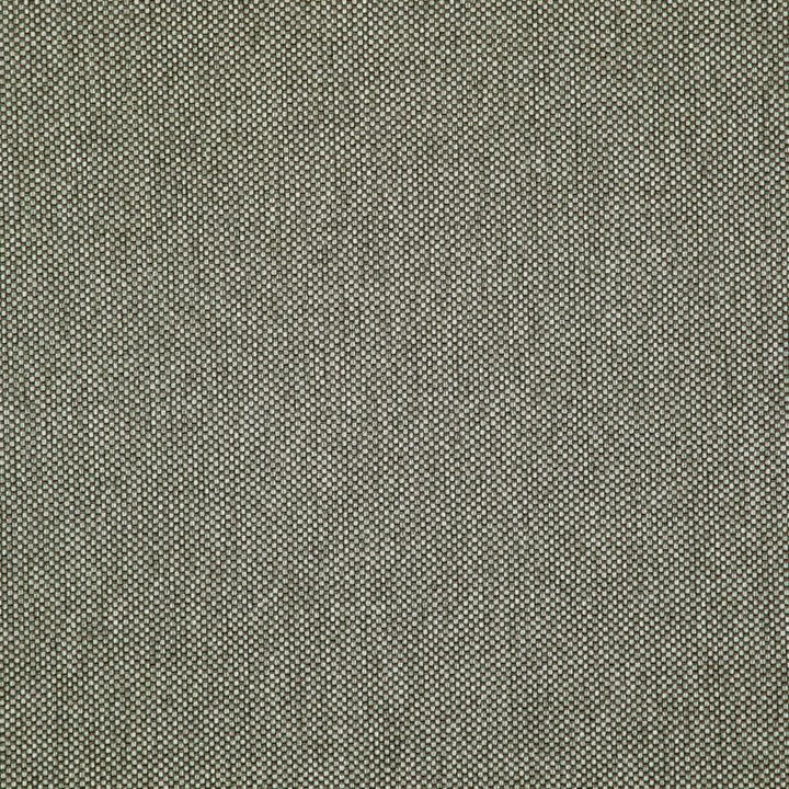 Light Year # 213 Griffin by Maxwell Fabric 100% POLYESTER CHINA 56" - Fabric Carolina -