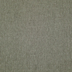 Light Year # 213 Griffin by Maxwell Fabric