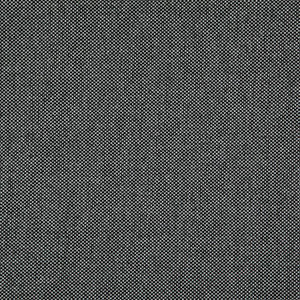Light Year # 214 Raven by Maxwell Fabric