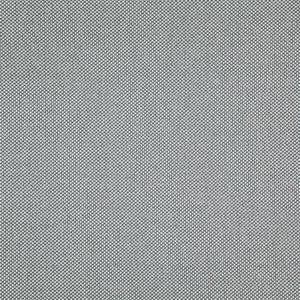 Light Year # 215 Feather by Maxwell Fabric
