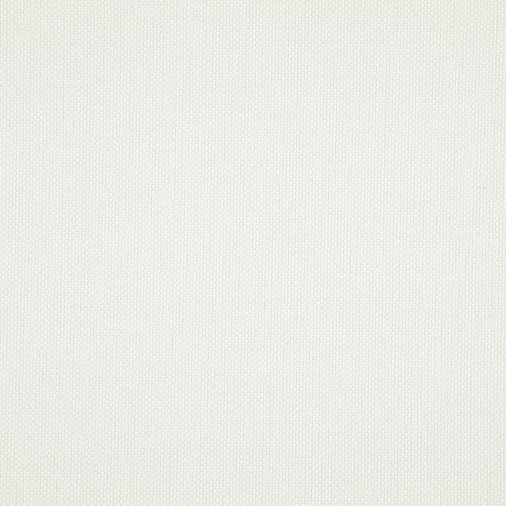 Light Year # 216 Swan by Maxwell Fabric 100% POLYESTER CHINA 56" - Fabric Carolina -