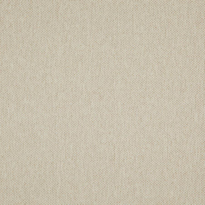 Light Year # 219 Nougat by Maxwell Fabric 100% POLYESTER CHINA 56" - Fabric Carolina -